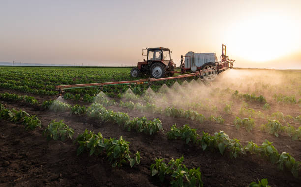 Best Pest Control for Homes  in Ecru, MS