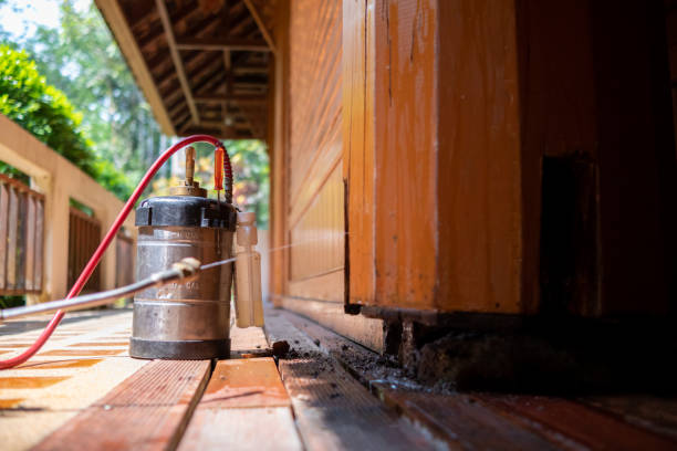 Best Best Pest Control Companies  in Ecru, MS