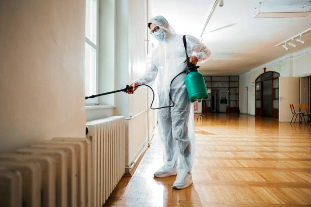 Best Wasp Removal Services  in Ecru, MS
